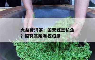 大益普洱茶：国营还是私企？探究其所有权归属