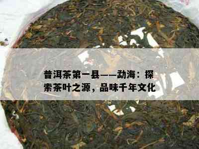 普洱茶之一县——勐海：探索茶叶之源，品味千年文化