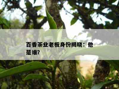 百香茶业老板身份揭晓：他是谁？