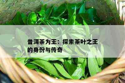 普洱茶为王：探索茶叶之王的身份与传奇