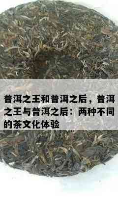 普洱之王和普洱之后，普洱之王与普洱之后：两种不同的茶文化体验