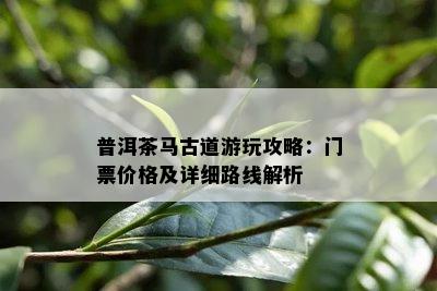 普洱茶马古道游玩攻略：门票价格及详细路线解析