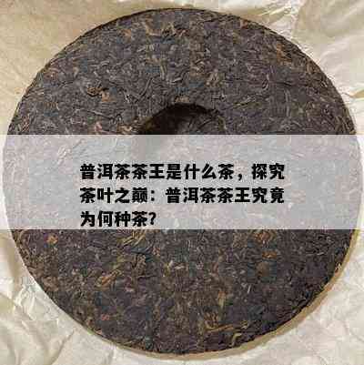 普洱茶茶王是什么茶，探究茶叶之巅：普洱茶茶王究竟为何种茶？