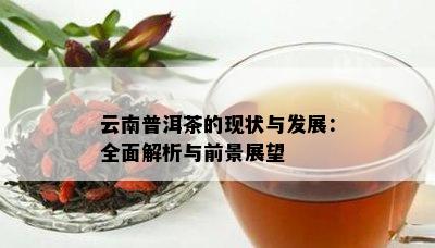 云南普洱茶的现状与发展：全面解析与前景展望