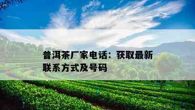 普洱茶厂家电话：获取最新联系方式及号码