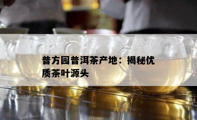 普方园普洱茶产地：揭秘优质茶叶源头