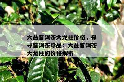 大益普洱茶大龙柱价格，探寻普洱茶珍品：大益普洱茶大龙柱的价格解析