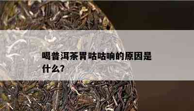 喝普洱茶胃咕咕响的起因是什么？