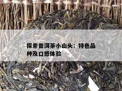 探索普洱茶小山头：特色品种及口感体验