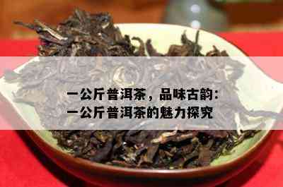 一公斤普洱茶，品味古韵：一公斤普洱茶的魅力探究