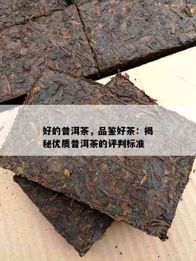 好的普洱茶，品鉴好茶：揭秘优质普洱茶的评判标准