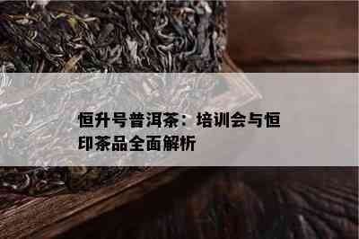 恒升号普洱茶：培训会与恒印茶品全面解析