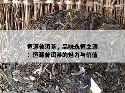 恒源普洱茶，品味永恒之源：恒源普洱茶的魅力与价值