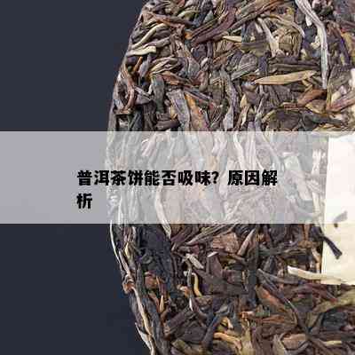 普洱茶饼能否吸味？原因解析