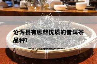 沧源县有哪些优质的普洱茶品种？