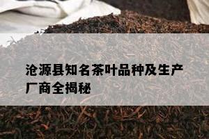 沧源县知名茶叶品种及生产厂商全揭秘