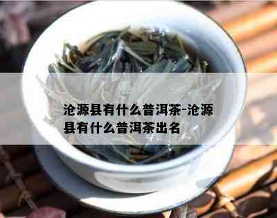 沧源县有什么普洱茶-沧源县有什么普洱茶出名