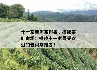 十一家普洱茶排名，揭秘茶叶市场：揭晓十一家更受欢迎的普洱茶排名！