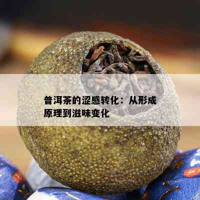 普洱茶的涩感转化：从形成原理到滋味变化