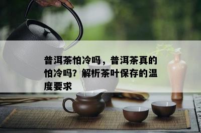 普洱茶怕冷吗，普洱茶真的怕冷吗？解析茶叶保存的温度请求