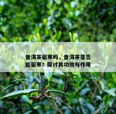 普洱茶驱寒吗，普洱茶是不是能驱寒？探讨其功效与作用