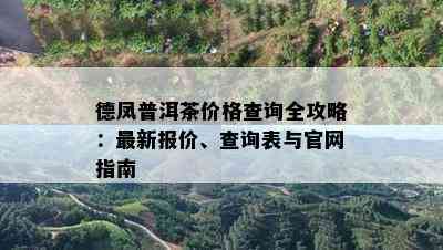 德凤普洱茶价格查询全攻略：最新报价、查询表与官网指南