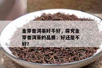 金芽普洱茶好不好，探究金芽普洱茶的品质：好还是不好？