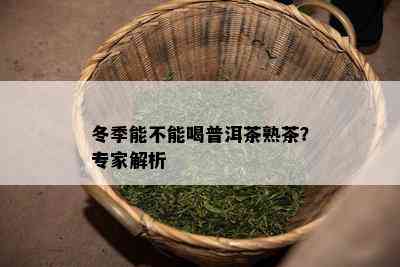 冬季能不能喝普洱茶熟茶？专家解析