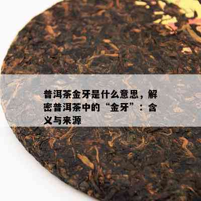 普洱茶金牙是什么意思，解密普洱茶中的“金牙”：含义与来源