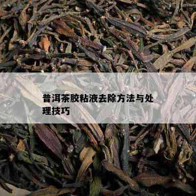 普洱茶胶粘液去除方法与解决技巧