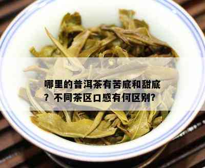 哪里的普洱茶有苦底和甜底？不同茶区口感有何区别？