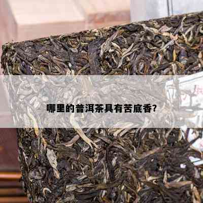 哪里的普洱茶具有苦底香？