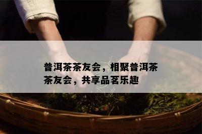 普洱茶茶友会，相聚普洱茶茶友会，共享品茗乐趣