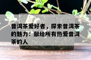 普洱茶爱好者，探索普洱茶的魅力：献给所有热爱普洱茶的人