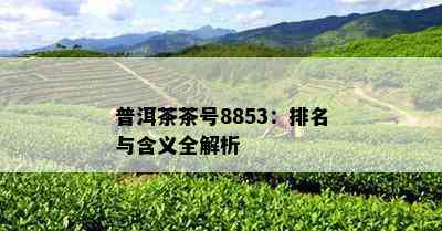 普洱茶茶号8853：排名与含义全解析