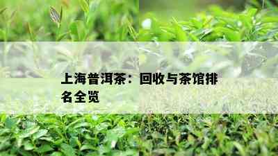 上海普洱茶：回收与茶馆排名全览