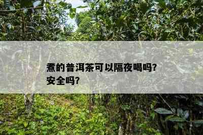 煮的普洱茶可以隔夜喝吗？安全吗？