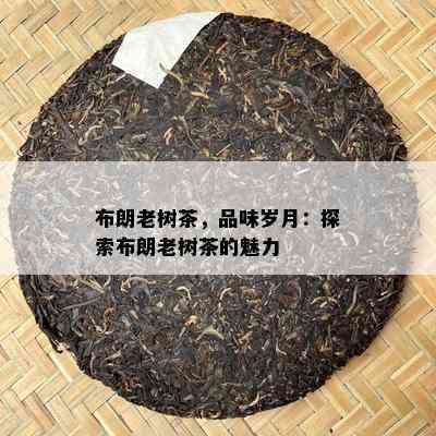 布朗老树茶，品味岁月：探索布朗老树茶的魅力