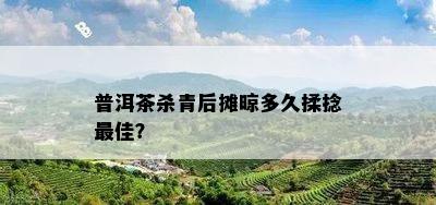 普洱茶杀青后摊晾多久揉捻更佳？