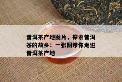 普洱茶产地图片，探索普洱茶的故乡：一张图带你走进普洱茶产地