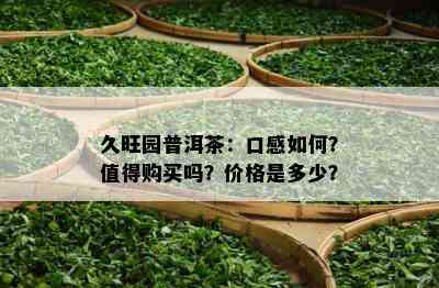 久旺园普洱茶：口感怎样？值得购买吗？价格是多少？