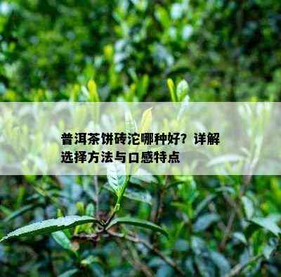 普洱茶饼砖沱哪种好？详解选择方法与口感特点