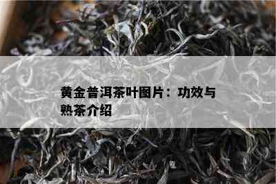 黄金普洱茶叶图片：功效与熟茶介绍