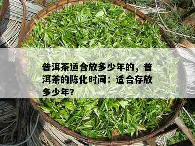 普洱茶适合放多少年的，普洱茶的陈化时间：适合存放多少年？