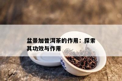 盆景加普洱茶的作用：探索其功效与作用