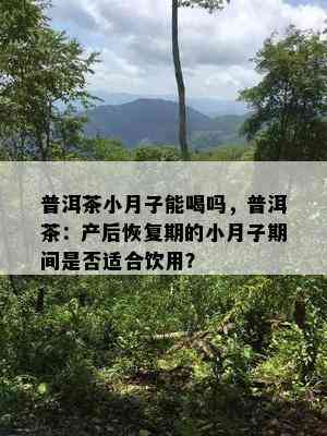 普洱茶小月子能喝吗，普洱茶：产后恢复期的小月子期间是不是适合饮用？