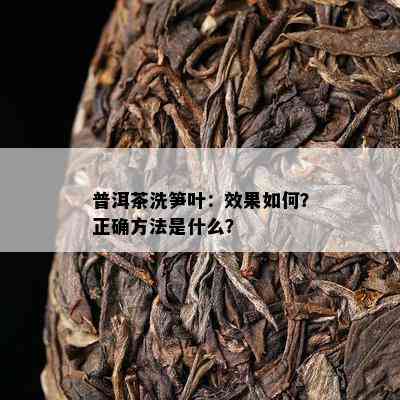 普洱茶洗笋叶：效果怎样？正确方法是什么？