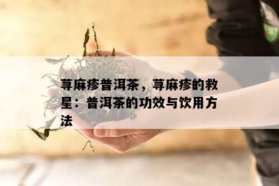 荨麻疹普洱茶，荨麻疹的救星：普洱茶的功效与饮用方法