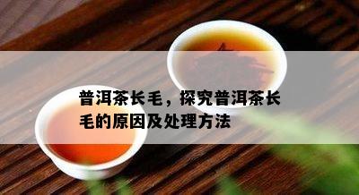 普洱茶长毛，探究普洱茶长毛的原因及处理方法