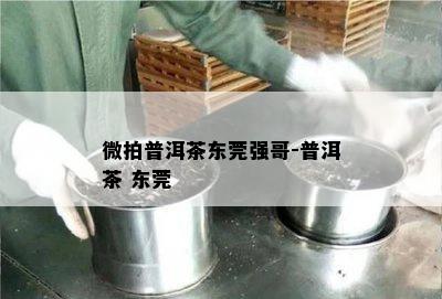 微拍普洱茶东莞强哥-普洱茶 东莞